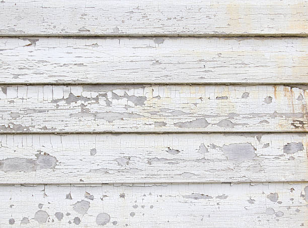 Best Siding Painting and Refinishing  in Williston, SC